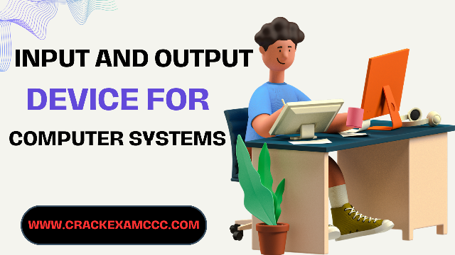 input and output devices in computer systems